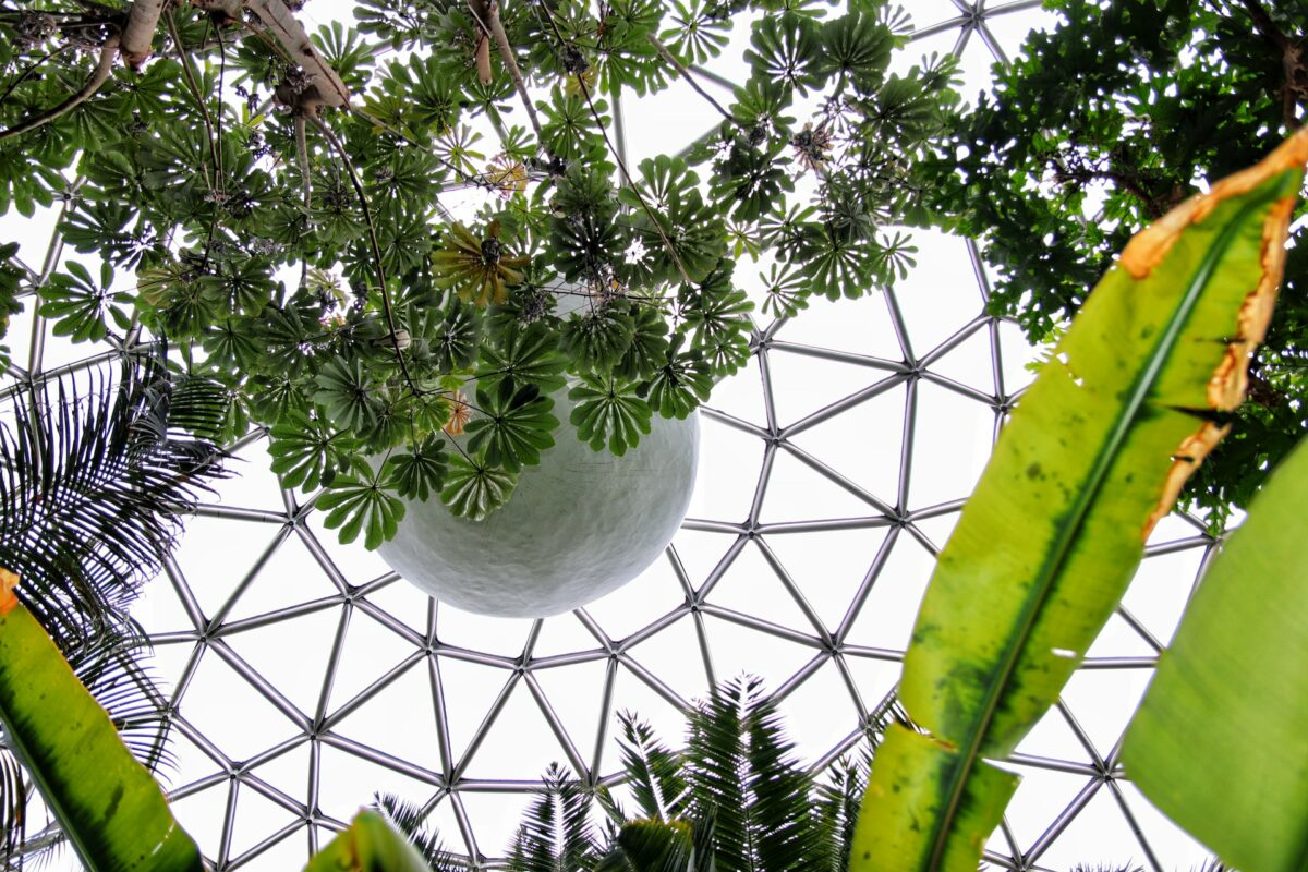 The roof of the Bloedel Conservatory in Queen Elizabeth Park in Vancouver, BC