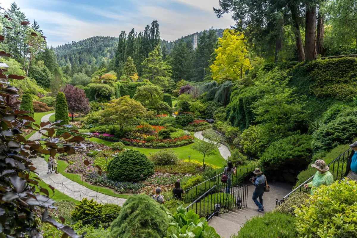 The sunken gardens at the Butchart Gardens