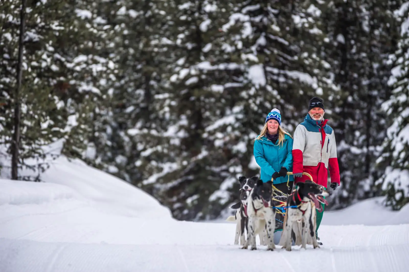 Dog sledding in Kelowna - Photo: Big White Ski Resort