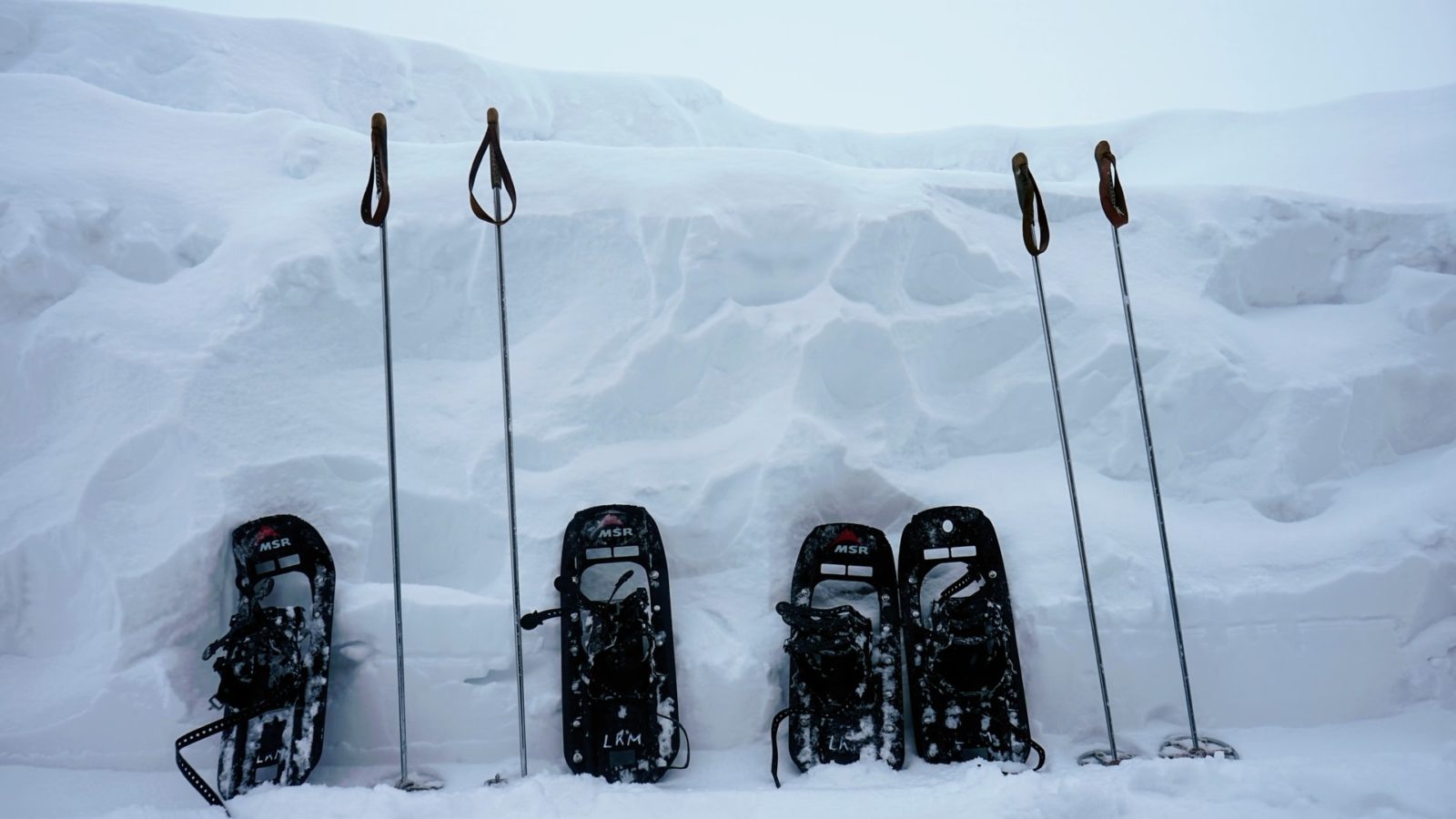 Fixed length snowshoe poles - Photo: Joel Tasche