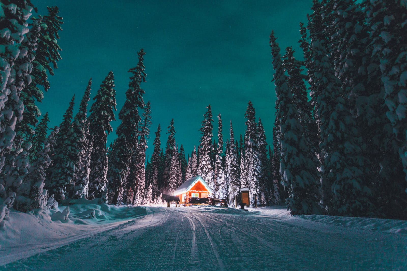 The horse-drawn sleigh dining tour at Big White - Photo: Big White Ski Resort