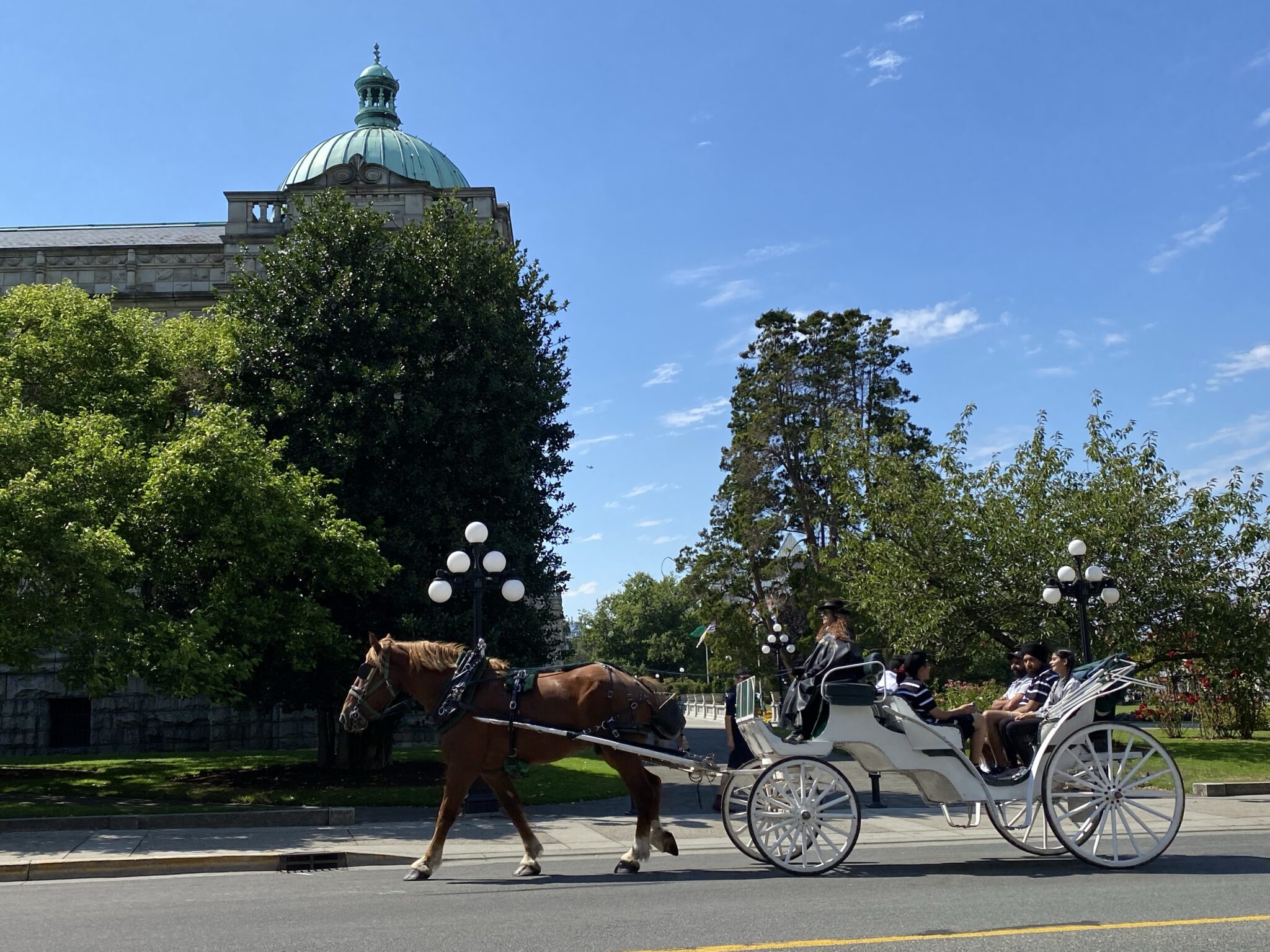 A horse-drawn carriage tour passing by the BC Parliament Building in downtown Victoria