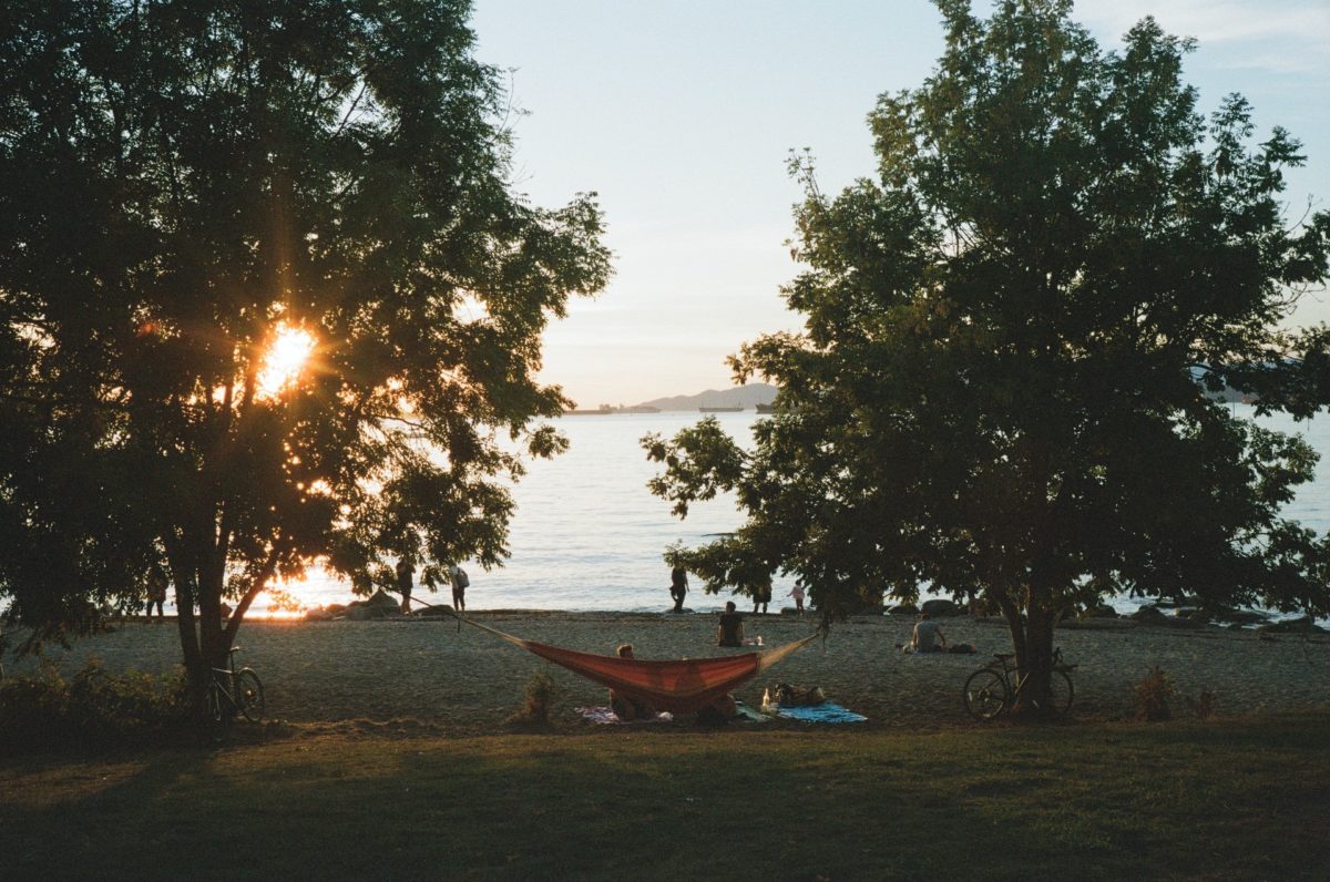A hammock hanging by Kitsilano Beach in Vancouver