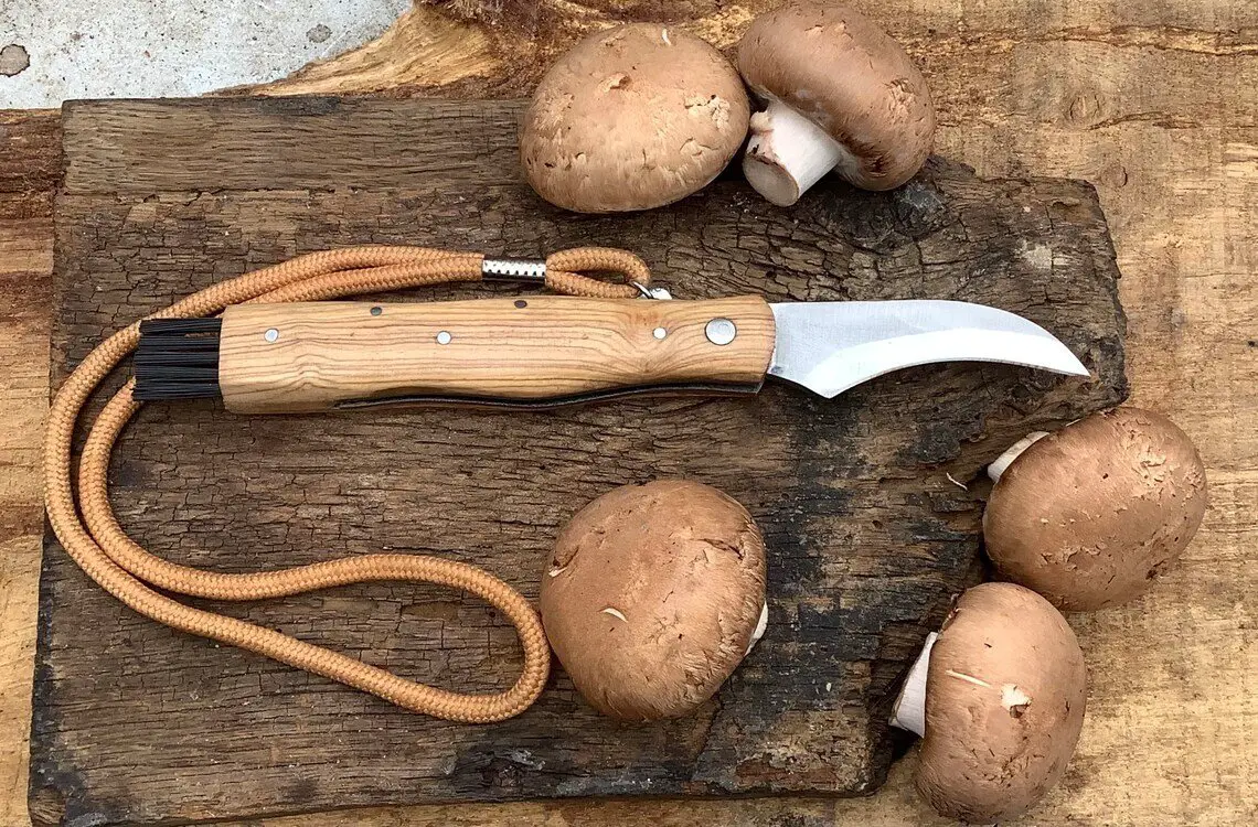 A mushroom hunters pocket knife beside four mushrooms