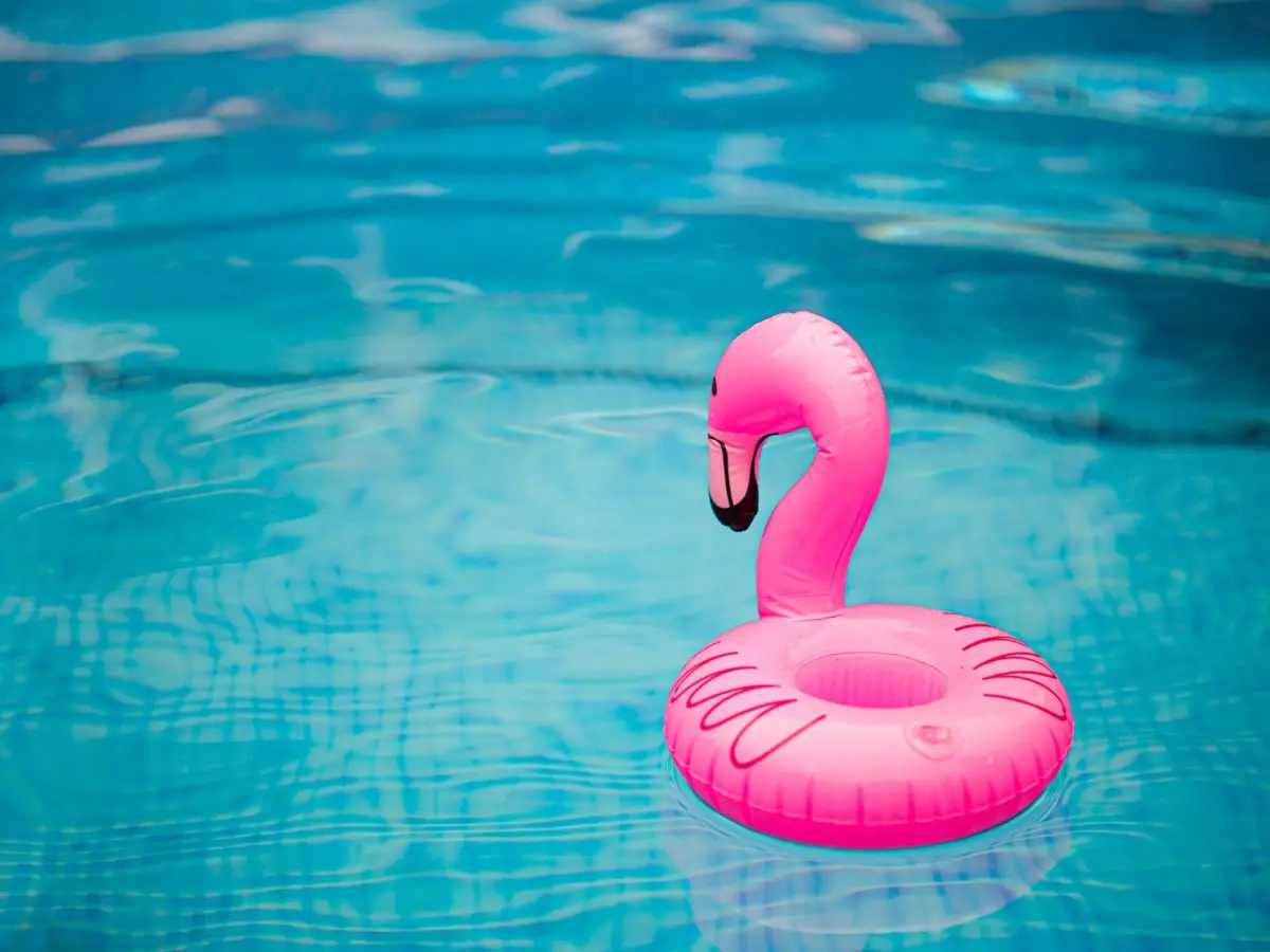 Pink flamingo inflatable toy floating in a public swimming pool