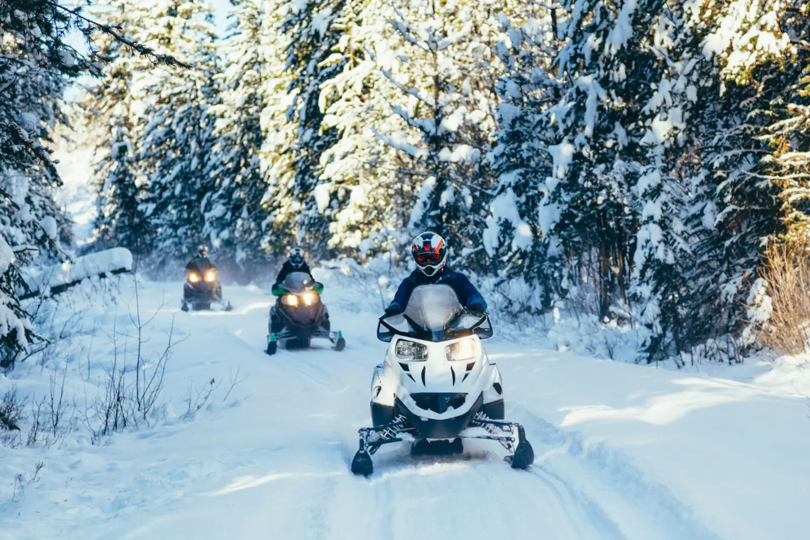 Snowmobiling through the snowy forest in Kelowna - Photo: Big White Ski Resort