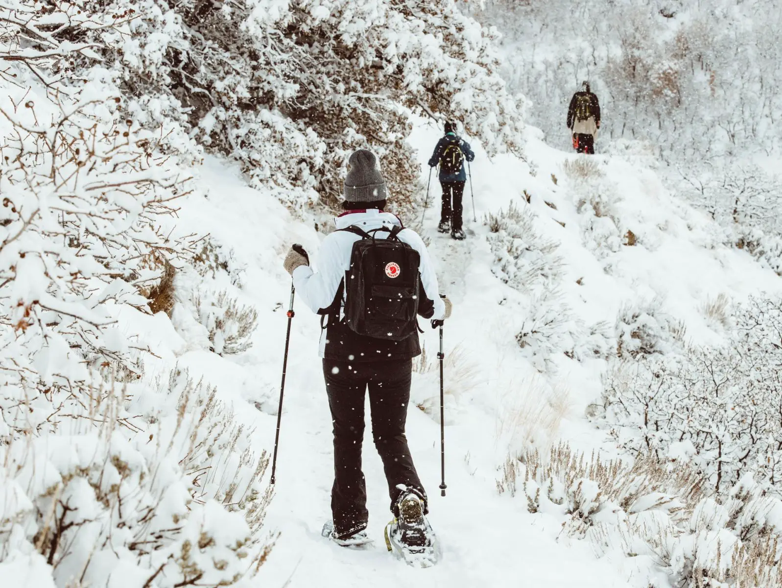 Using snowshoe poles with mud baskets instead of snow baskets - Photo: Taylor Brandon
