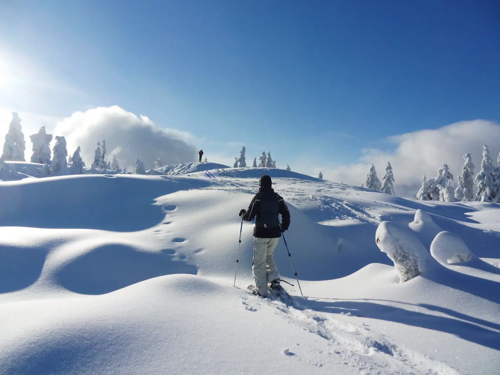 Snowshoeing on Cypress Mountain near Vancouver - Photo: Jennifer C. (CC)