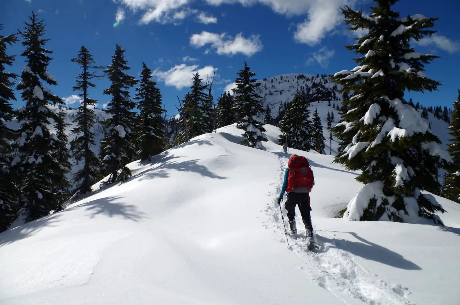 Using snowshoes and poles to climb to Iago Peak - Photo: Tim Gage (CC)