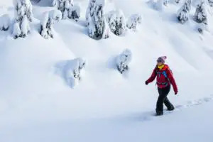 A lady snowshoeing through pristine snow