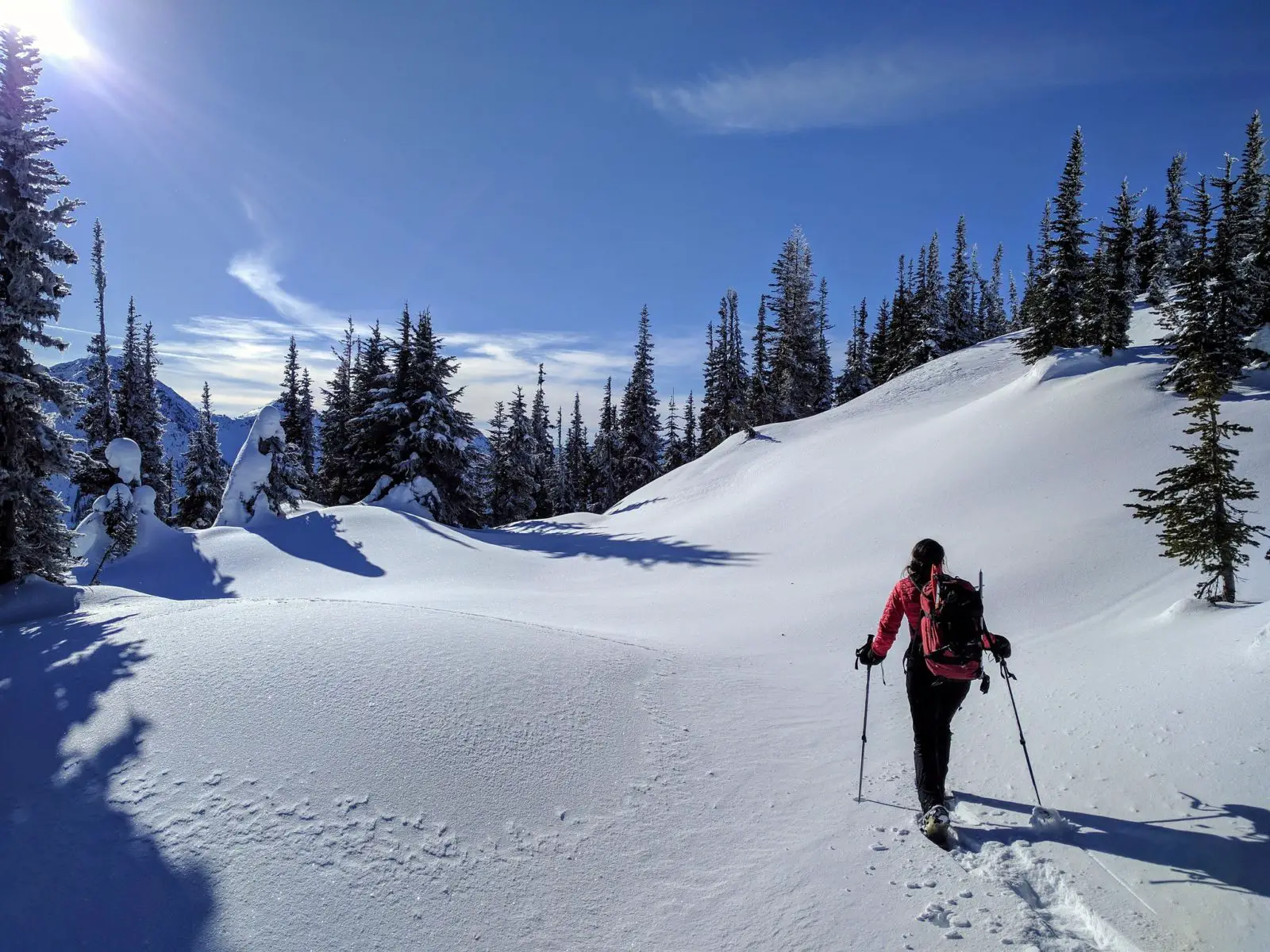 Snowshoeing the Zoa Peak Trail - Photo: Tim Gage (CC)