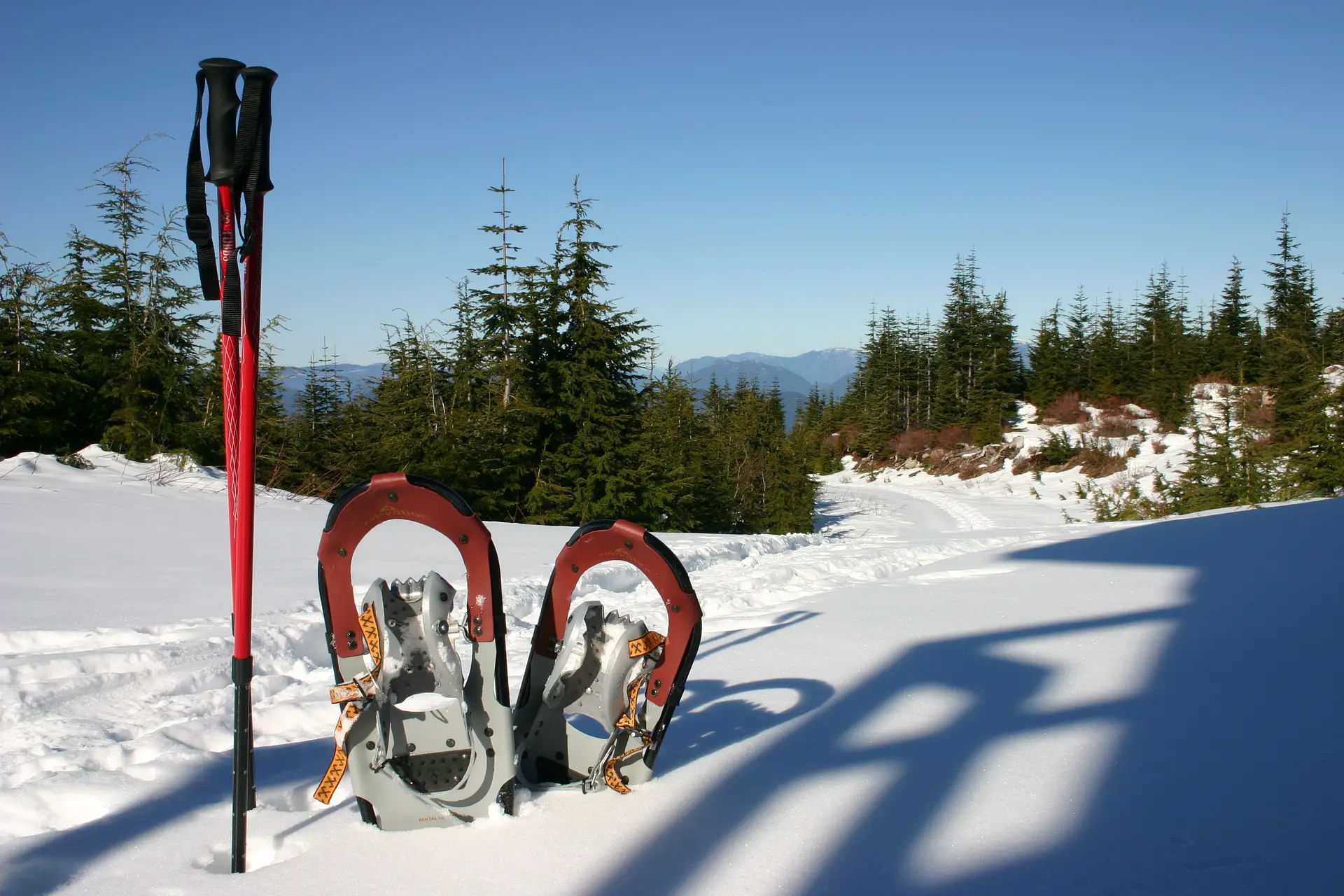 Snowshoes poles standing in the snow - Photo: Emma Larocque