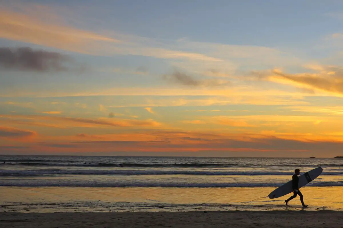 Surfer on Cox Bay Beach in Tofino with the sunset
