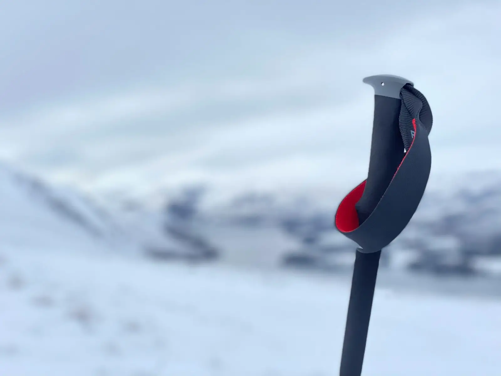 Foam grips are a great choice if you're looking for budget snowshoe poles under $100