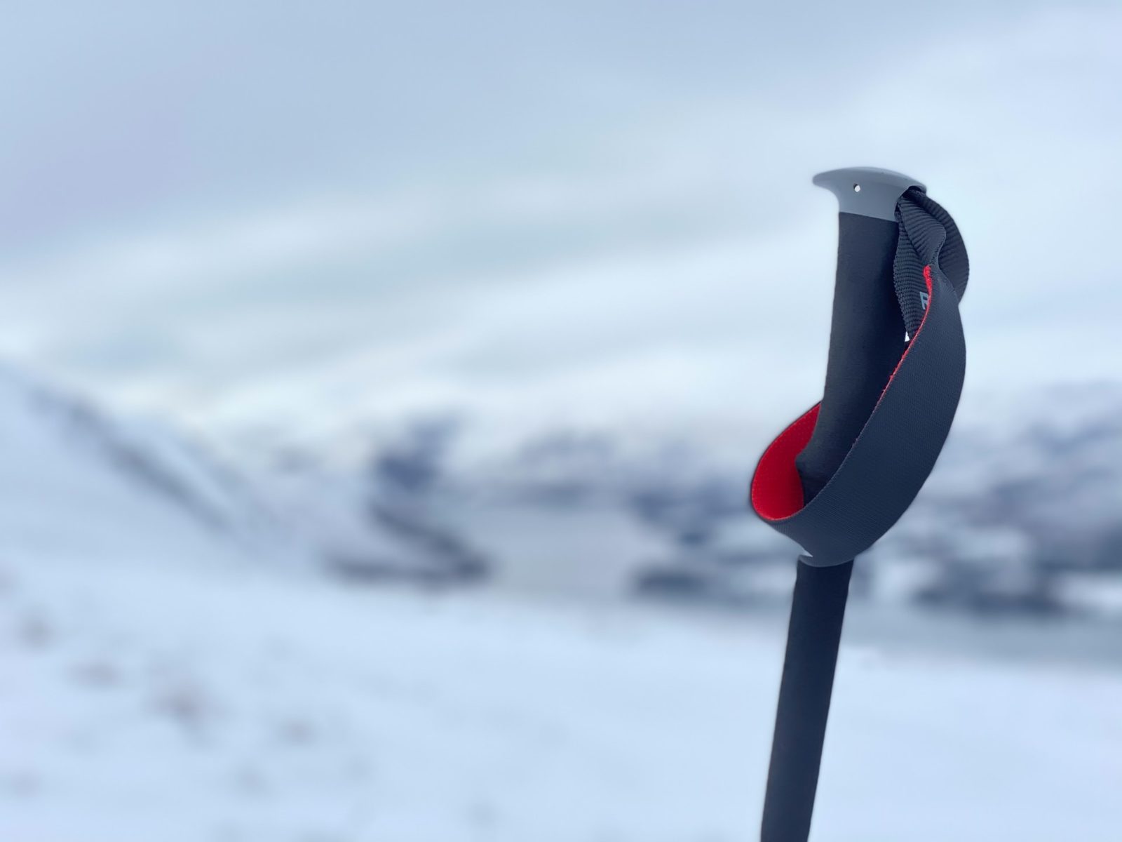 The handle and strap for a trekking pole - Photo: Sebastian Sulinski