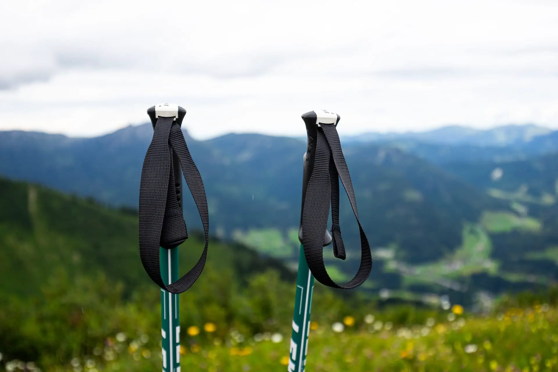 Trekking poles in front of a meadow