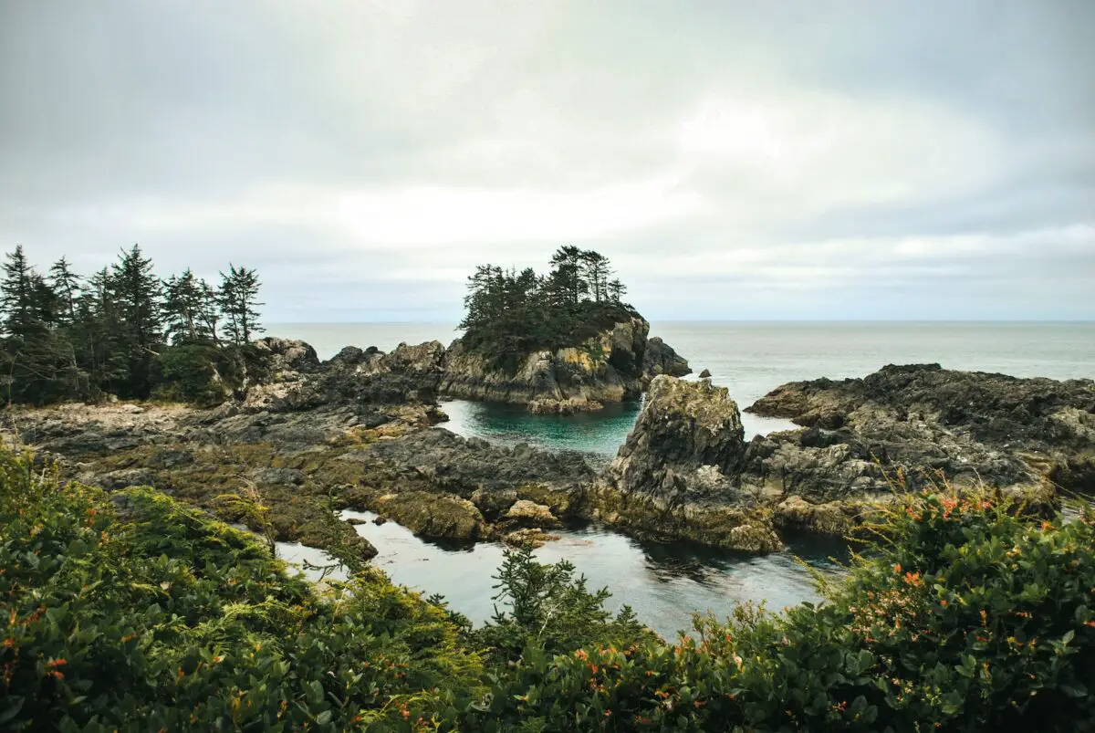 11 Best Things to Do in Ucluelet - Traveling BC