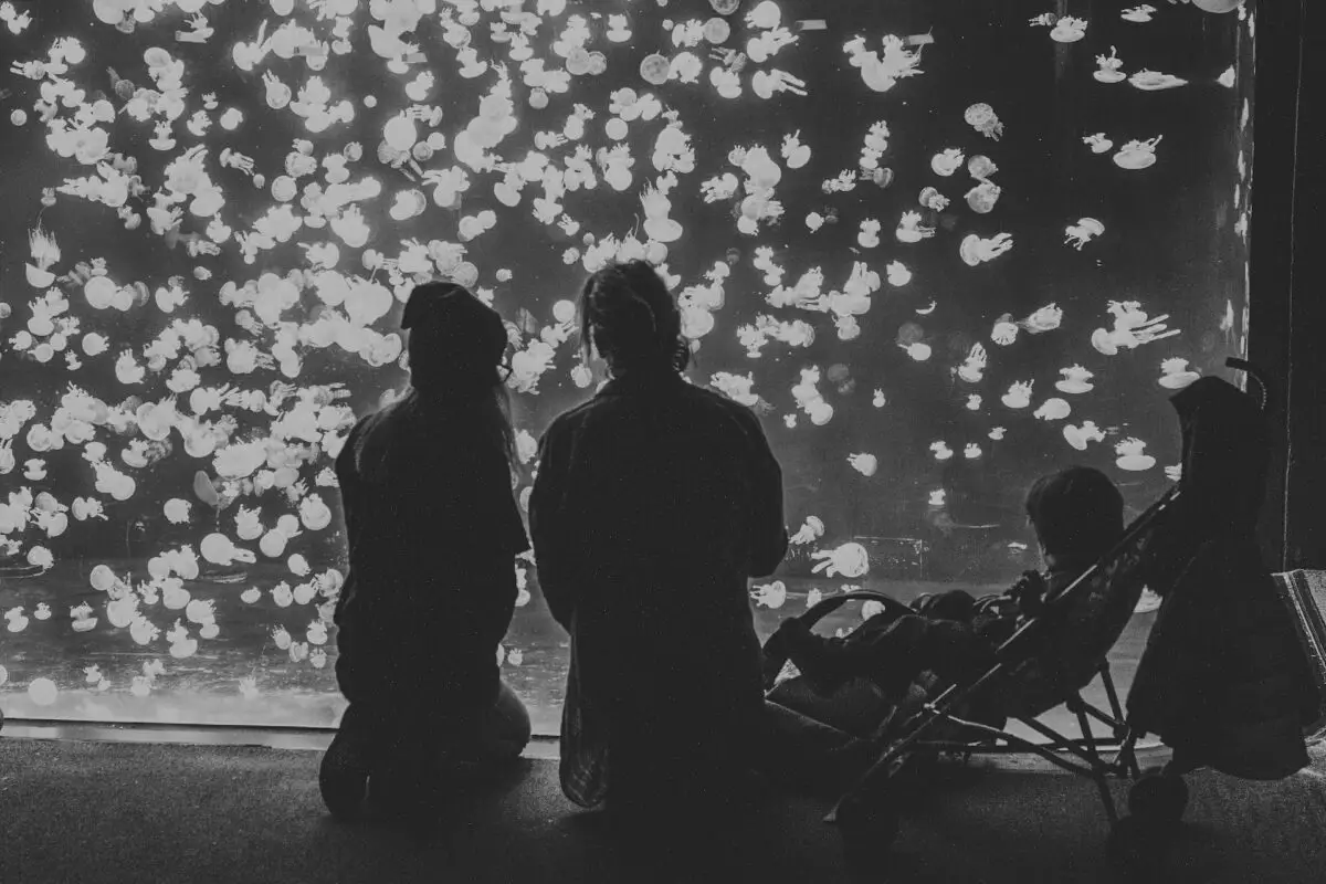 Two women and a child watching the jellyfish at the Vancouver Aquarium