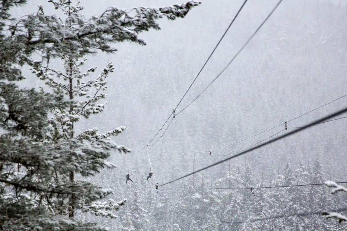 Ziplining in Whistler, BC, in winter